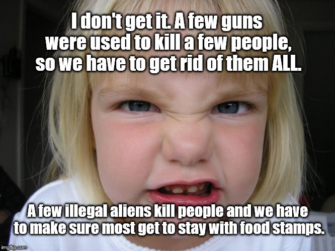 Controversial food for thought |  I don't get it. A few guns were used to kill a few people, so we have to get rid of them ALL. A few illegal aliens kill people and we have to make sure most get to stay with food stamps. | image tagged in angry toddler | made w/ Imgflip meme maker