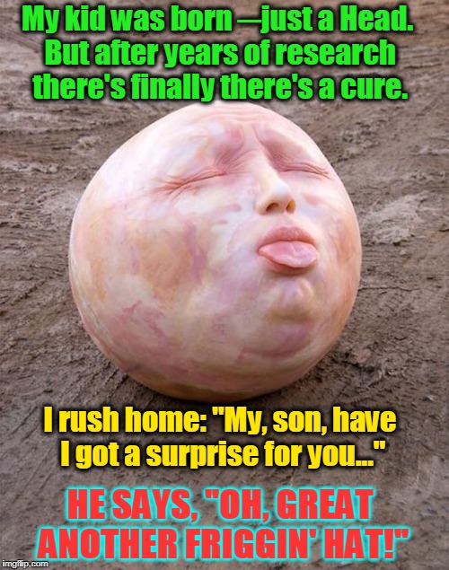 There were no other Body Parts, you see... | My kid was born ─just a Head. But after years of research there's finally there's a cure. I rush home: "My, son, have I got a surprise for you..."; HE SAYS, "OH, GREAT ANOTHER FRIGGIN' HAT!" | image tagged in vince vance,hat joke,this kid was born,he was just a head | made w/ Imgflip meme maker
