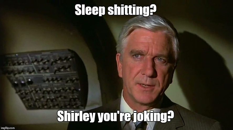 Sleep shitting? Shirley you're joking? | made w/ Imgflip meme maker
