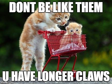 Cats: The Road | DONT BE LIKE THEM; U HAVE LONGER CLAWS | image tagged in cats the road | made w/ Imgflip meme maker