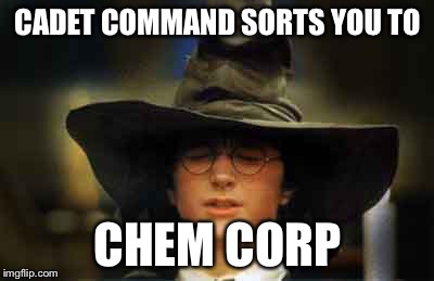 Harry Potter sorting hat | CADET COMMAND SORTS YOU TO; CHEM CORP | image tagged in harry potter sorting hat | made w/ Imgflip meme maker