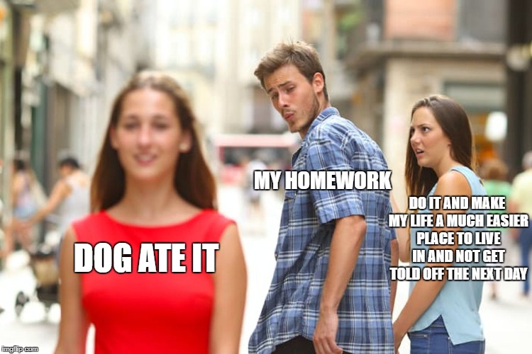 Homework | MY HOMEWORK; DO IT AND MAKE MY LIFE A MUCH EASIER PLACE TO LIVE IN AND NOT GET TOLD OFF THE NEXT DAY; DOG ATE IT | image tagged in memes,distracted boyfriend | made w/ Imgflip meme maker