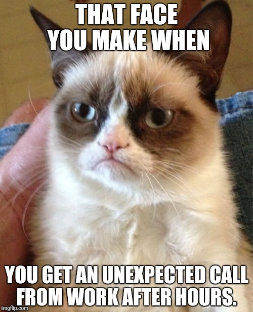 Grumpy Cat Meme | THAT FACE YOU MAKE WHEN; YOU GET AN UNEXPECTED CALL FROM WORK AFTER HOURS. | image tagged in memes,grumpy cat | made w/ Imgflip meme maker