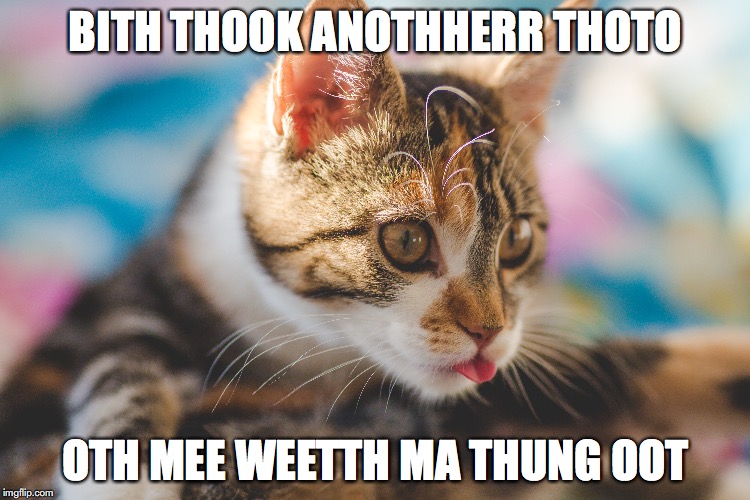 CAT TONGUE | BITH THOOK ANOTHHERR THOTO; OTH MEE WEETTH MA THUNG OOT | image tagged in cat,cats,tongue | made w/ Imgflip meme maker