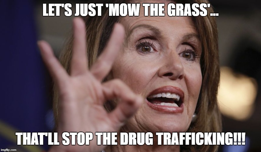 LET'S JUST 'MOW THE GRASS'... THAT'LL STOP THE DRUG TRAFFICKING!!! | image tagged in nancy's plan | made w/ Imgflip meme maker