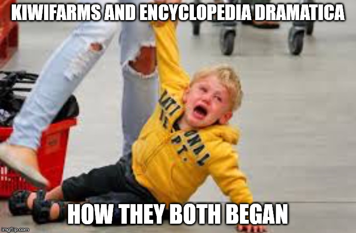 Tantrum store | KIWIFARMS AND ENCYCLOPEDIA DRAMATICA; HOW THEY BOTH BEGAN | image tagged in tantrum store | made w/ Imgflip meme maker