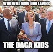 Democrats have a plan for DACA Kids | WHO WILL MOW OUR LAWNS; THE DACA KIDS | image tagged in dizzy dumbocrats,palosi,wacko liberals | made w/ Imgflip meme maker