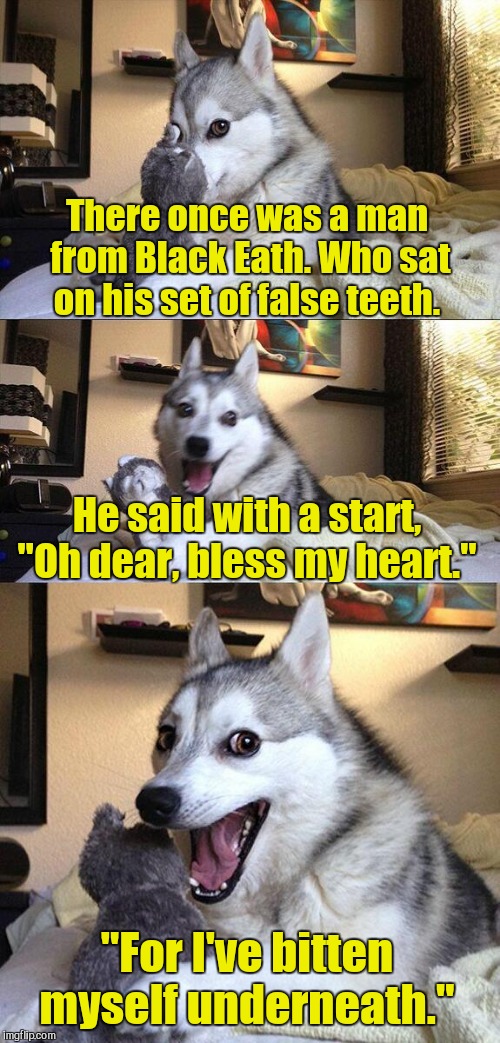 When I was in the ninth grade one of our assignments was to keep a journal. I found it again.  | There once was a man from Black Eath. Who sat on his set of false teeth. He said with a start, "Oh dear, bless my heart."; "For I've bitten myself underneath." | image tagged in memes,bad pun dog | made w/ Imgflip meme maker