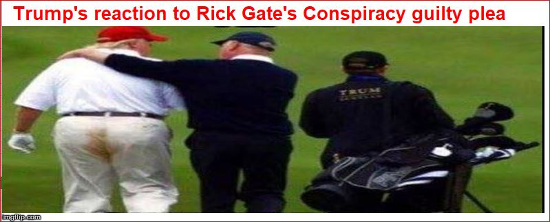 image tagged in trum rick gates plea | made w/ Imgflip meme maker