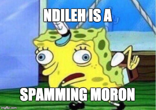 Mocking Spongebob | NDILEH IS A; SPAMMING MORON | image tagged in memes,mocking spongebob | made w/ Imgflip meme maker