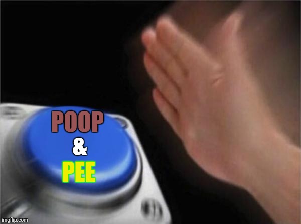 Blank Nut Button Meme | POOP PEE & | image tagged in memes,blank nut button | made w/ Imgflip meme maker