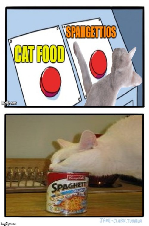 Two Buttons Meme | image tagged in memes,two buttons,funny cats | made w/ Imgflip meme maker