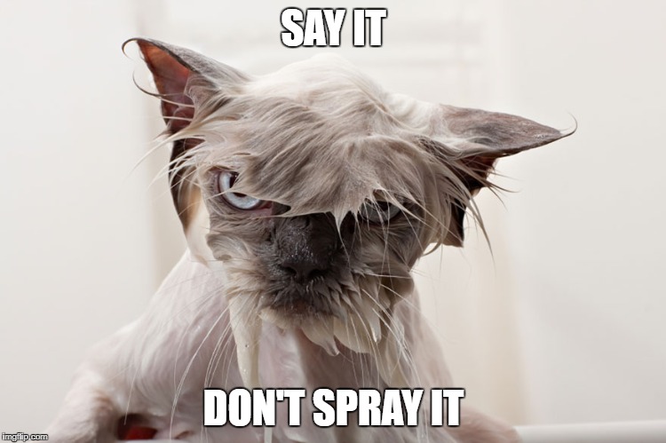 cat | SAY IT DON'T SPRAY IT | image tagged in cat | made w/ Imgflip meme maker