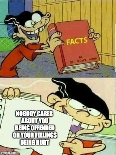 Double d facts book  | NOBODY CARES ABOUT YOU BEING OFFENDED OR YOUR FEELINGS BEING HURT | image tagged in double d facts book | made w/ Imgflip meme maker