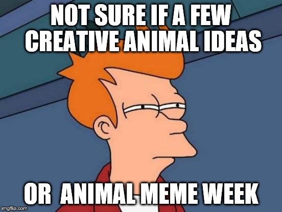 Futurama Fry Meme | NOT SURE IF A FEW CREATIVE ANIMAL IDEAS OR  ANIMAL MEME WEEK | image tagged in memes,futurama fry | made w/ Imgflip meme maker