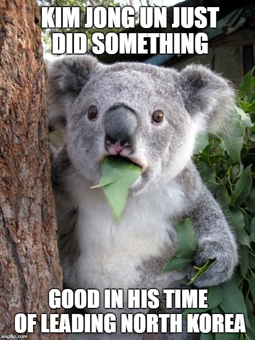 Say What? | KIM JONG UN JUST DID SOMETHING; GOOD IN HIS TIME OF LEADING NORTH KOREA | image tagged in memes,surprised koala | made w/ Imgflip meme maker