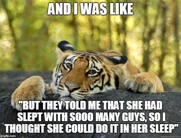 Very Terrible Tiger | AND I WAS LIKE; "BUT THEY TOLD ME THAT SHE HAD SLEPT WITH SOOO MANY GUYS, SO I THOUGHT SHE COULD DO IT IN HER SLEEP" | image tagged in terrible tiger,nsfw,rape | made w/ Imgflip meme maker