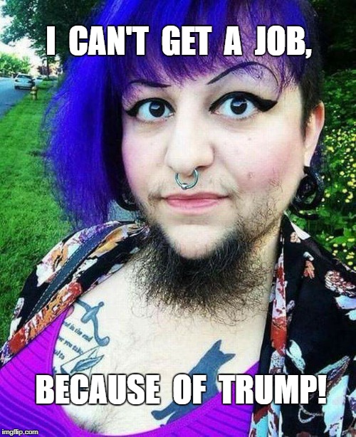 Trump Jobs | I  CAN'T  GET  A  JOB, BECAUSE  OF  TRUMP! | image tagged in wtf,meme | made w/ Imgflip meme maker