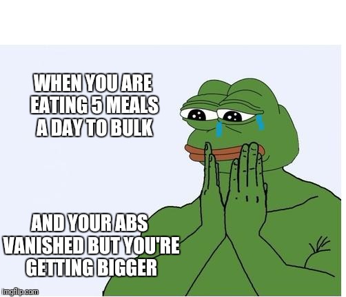 sad frog feelings | WHEN YOU ARE EATING 5 MEALS A DAY TO BULK; AND YOUR ABS VANISHED BUT YOU'RE GETTING BIGGER | image tagged in sad frog feelings | made w/ Imgflip meme maker
