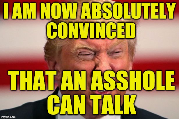 POTUS | I AM NOW ABSOLUTELY CONVINCED; THAT AN ASSHOLE CAN TALK | image tagged in potus | made w/ Imgflip meme maker