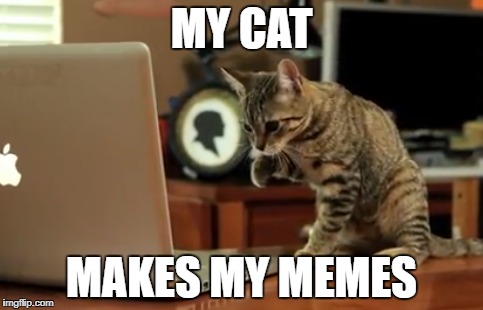 MY CAT MAKES MY MEMES | made w/ Imgflip meme maker