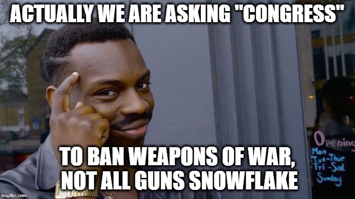 Roll Safe Think About It Meme | ACTUALLY WE ARE ASKING "CONGRESS" TO BAN WEAPONS OF WAR, NOT ALL GUNS SNOWFLAKE | image tagged in memes,roll safe think about it | made w/ Imgflip meme maker