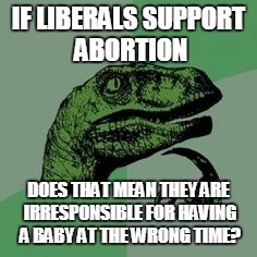 Time raptor  | IF LIBERALS SUPPORT ABORTION; DOES THAT MEAN THEY ARE IRRESPONSIBLE FOR HAVING A BABY AT THE WRONG TIME? | image tagged in time raptor | made w/ Imgflip meme maker