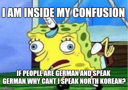 Mocking Spongebob Meme | I AM INSIDE MY CONFUSION; IF PEOPLE ARE GERMAN AND SPEAK GERMAN WHY CANT I SPEAK NORTH KOREAN? | image tagged in memes,mocking spongebob | made w/ Imgflip meme maker