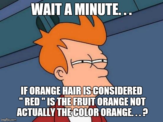 Futurama Fry Meme | WAIT A MINUTE. . . IF ORANGE HAIR IS CONSIDERED " RED " IS THE FRUIT ORANGE NOT ACTUALLY THE COLOR ORANGE. . . ? | image tagged in memes,futurama fry | made w/ Imgflip meme maker