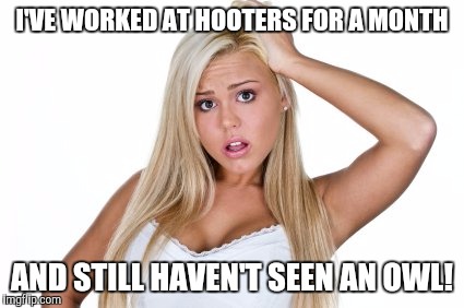 Dumb Blonde | I'VE WORKED AT HOOTERS FOR A MONTH; AND STILL HAVEN'T SEEN AN OWL! | image tagged in dumb blonde,memes,hooters | made w/ Imgflip meme maker