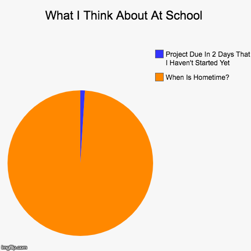 School Thoughts | What I Think About At School | When Is Hometime?, Project Due In 2 Days That I Haven't Started Yet | image tagged in funny,pie charts,memes | made w/ Imgflip chart maker