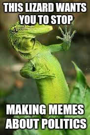 lizard | THIS LIZARD WANTS YOU TO STOP; MAKING MEMES ABOUT POLITICS | image tagged in lizard | made w/ Imgflip meme maker