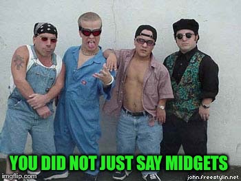 YOU DID NOT JUST SAY MIDGETS | made w/ Imgflip meme maker