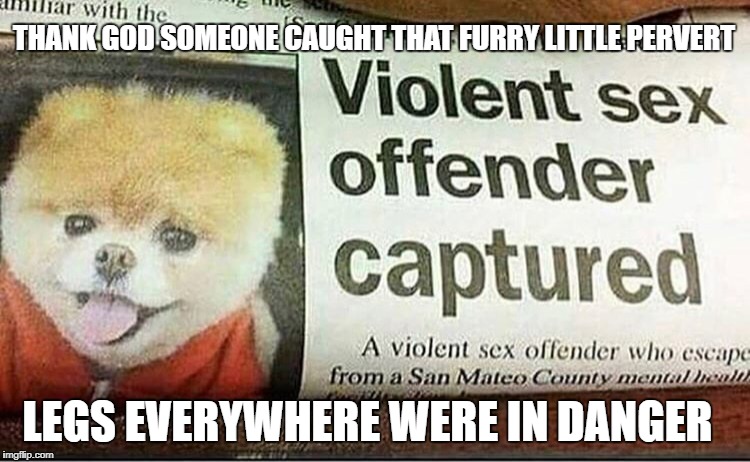 It's always the ones you least expect | THANK GOD SOMEONE CAUGHT THAT FURRY LITTLE PERVERT; LEGS EVERYWHERE WERE IN DANGER | image tagged in memes,dog joke,pervert,futurama fry | made w/ Imgflip meme maker