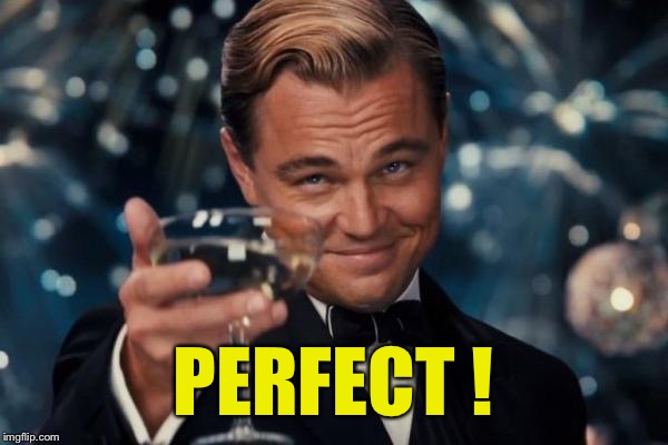 Leonardo Dicaprio Cheers Meme | PERFECT ! | image tagged in memes,leonardo dicaprio cheers | made w/ Imgflip meme maker