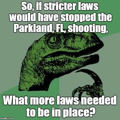 Philosoraptor Meme | So, if stricter laws would have stopped the Parkland, FL, shooting, What more laws needed to be in place? | image tagged in memes,philosoraptor | made w/ Imgflip meme maker