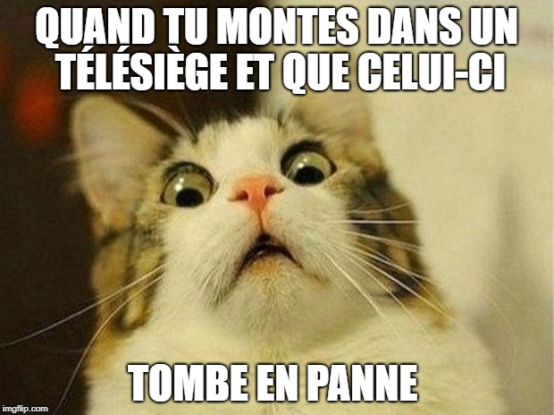 Scared Cat Meme | QUAND TU MONTES DANS UN TÉLÉSIÈGE ET QUE CELUI-CI; TOMBE EN PANNE | image tagged in memes,scared cat | made w/ Imgflip meme maker