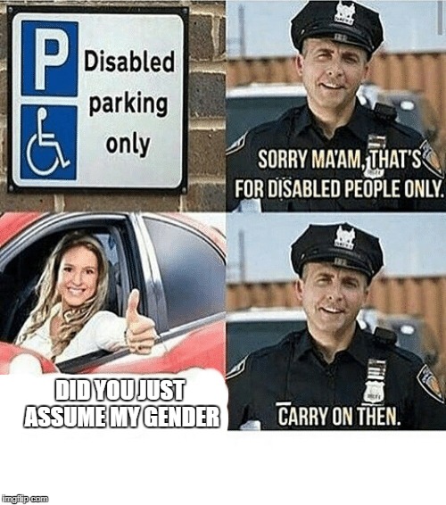 disabled parking | DID YOU JUST ASSUME MY GENDER | image tagged in disabled parking,memes,funny,ssby,is this political | made w/ Imgflip meme maker