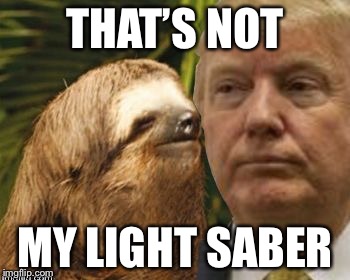 Political advice sloth | THAT’S NOT MY LIGHT SABER | image tagged in political advice sloth | made w/ Imgflip meme maker