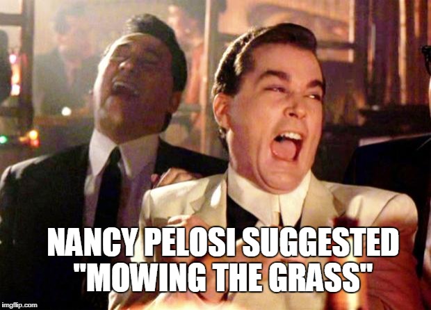 Mow the Grass | NANCY PELOSI SUGGESTED
 "MOWING THE GRASS" | image tagged in goodfellas laugh,nancy pelosi,donald trump,secure the border,border wall,libtards | made w/ Imgflip meme maker