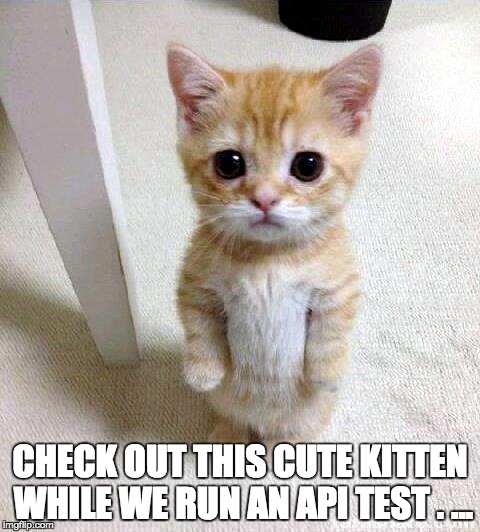 Cute Cat | CHECK OUT THIS CUTE KITTEN WHILE WE RUN AN API TEST . ... | image tagged in memes,cute cat | made w/ Imgflip meme maker