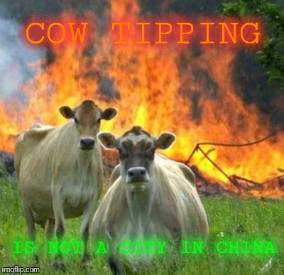 TIPPING POINT | COW TIPPING; IS NOT A CITY IN CHINA | image tagged in evil cows,tipping,point,china,old mcdonald,rare steak meme | made w/ Imgflip meme maker