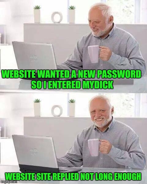 "Security Measures" | WEBSITE WANTED A NEW PASSWORD SO I ENTERED MYDICK; WEBSITE SITE REPLIED NOT LONG ENOUGH | image tagged in memes,hide the pain harold | made w/ Imgflip meme maker