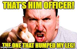 THAT'S HIM OFFICER! THE ONE THAT HUMPED MY LEG! | made w/ Imgflip meme maker