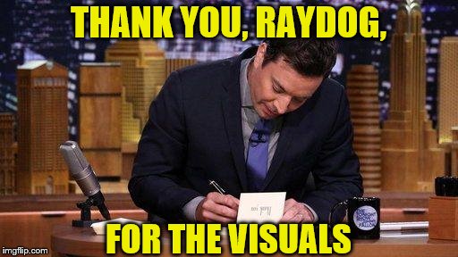THANK YOU, RAYDOG, FOR THE VISUALS | made w/ Imgflip meme maker