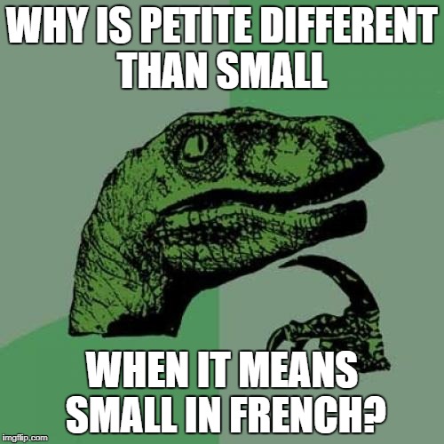 Philosoraptor | WHY IS PETITE DIFFERENT THAN SMALL; WHEN IT MEANS SMALL IN FRENCH? | image tagged in memes,philosoraptor | made w/ Imgflip meme maker