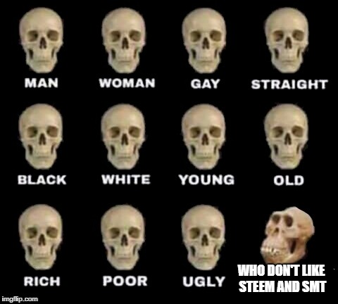 idiot skull | WHO DON'T LIKE STEEM AND SMT | image tagged in idiot skull | made w/ Imgflip meme maker