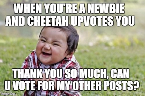 Evil Toddler | WHEN YOU'RE A NEWBIE AND CHEETAH UPVOTES YOU; THANK YOU SO MUCH, CAN U VOTE FOR MY OTHER POSTS? | image tagged in memes,evil toddler | made w/ Imgflip meme maker