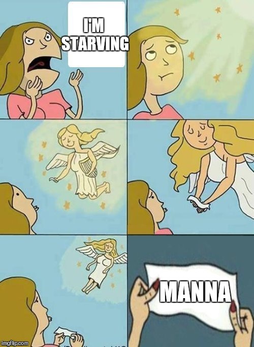 Manna from Heaven  | I'M STARVING; MANNA | image tagged in we don't care,jbmemegeek,manna | made w/ Imgflip meme maker