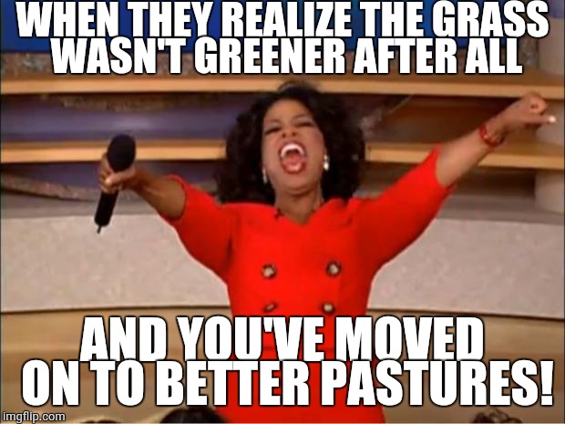 Oprah You Get A | WHEN THEY REALIZE THE GRASS WASN'T GREENER AFTER ALL; AND YOU'VE MOVED ON TO BETTER PASTURES! | image tagged in memes,oprah you get a | made w/ Imgflip meme maker